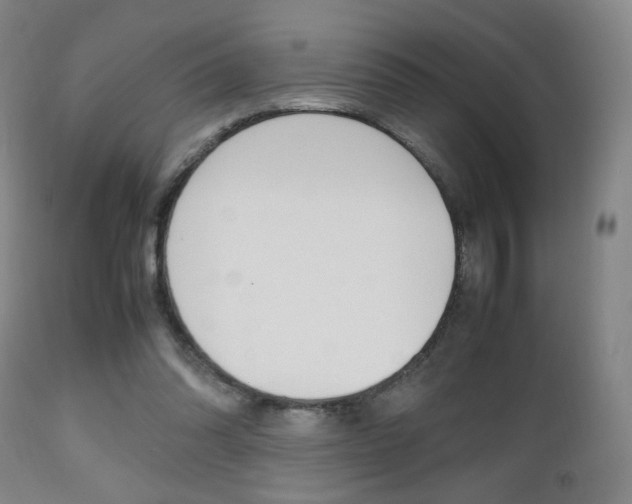 X0000112510302200908171054