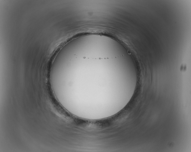 X0000112510303200908171054