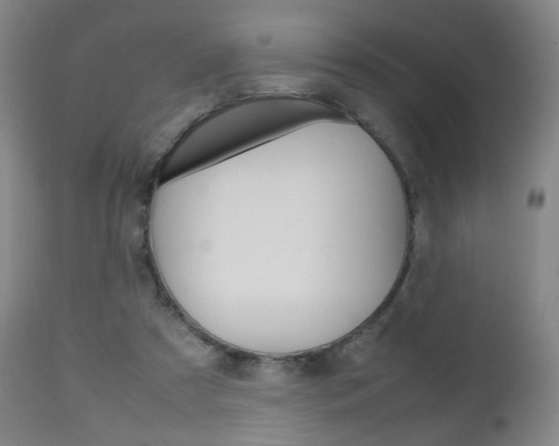 X0000112510305200908171054