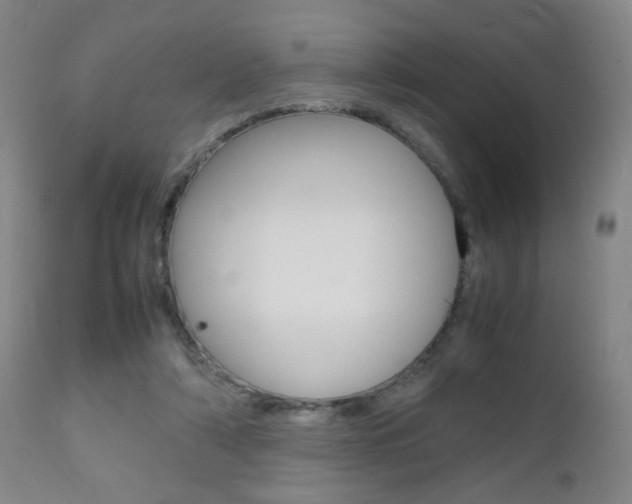 X0000112510306200908171054