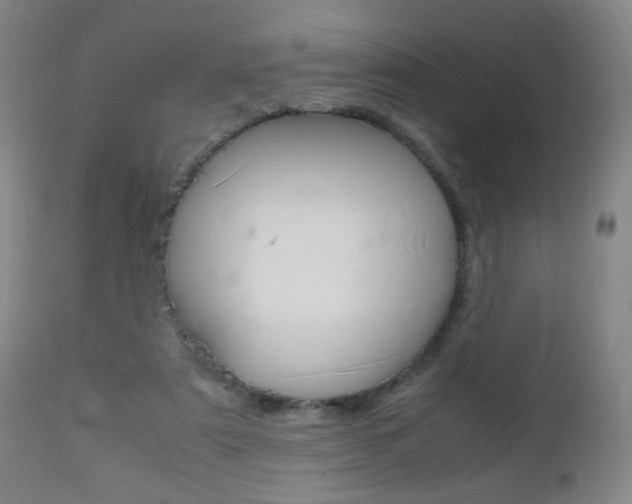 X0000112510307200908171054