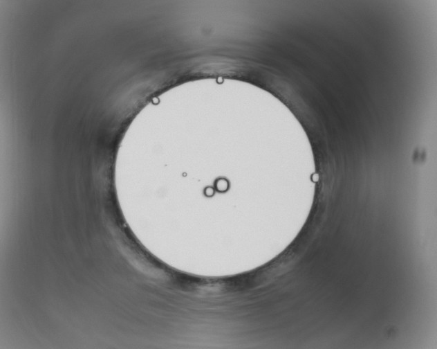 X0000112510309200908171054