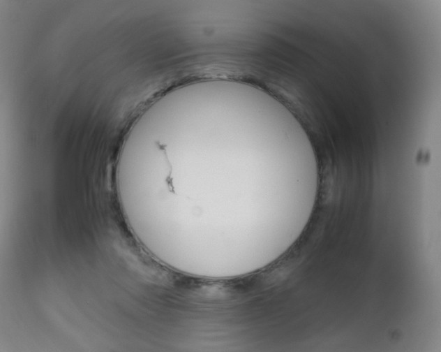X0000112510310200908171054