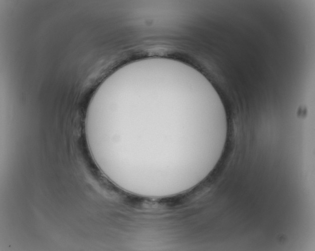 X0000112510311200908171054