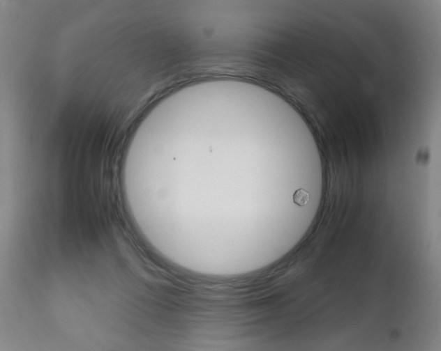 X0000112510312200908171054