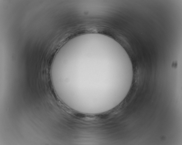 X0000112510314200908171054