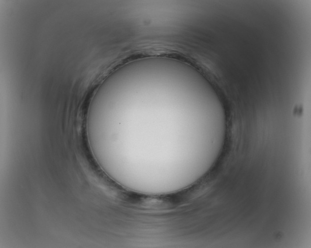 X0000112510315200908171054