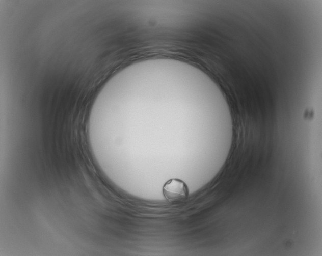 X0000112510316200908171054