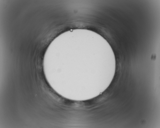 X0000112510317200908171054