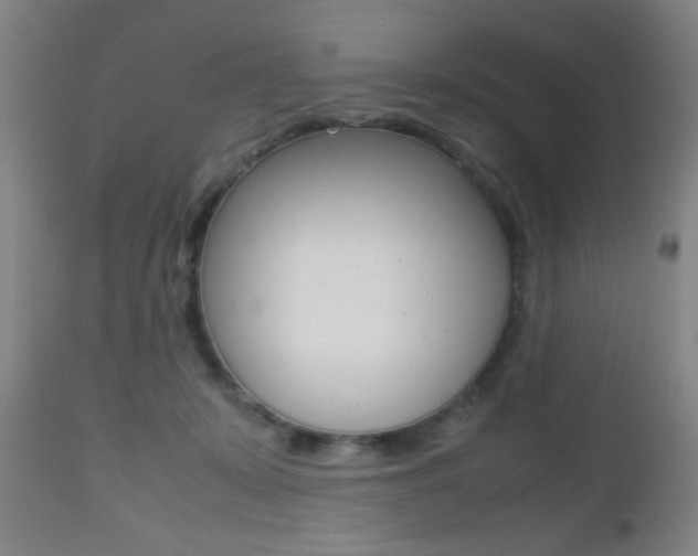 X0000112510319200908171054