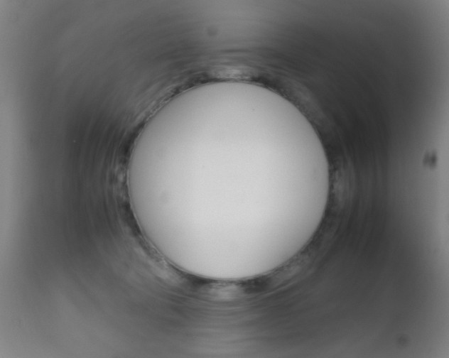 X0000112510322200908171054