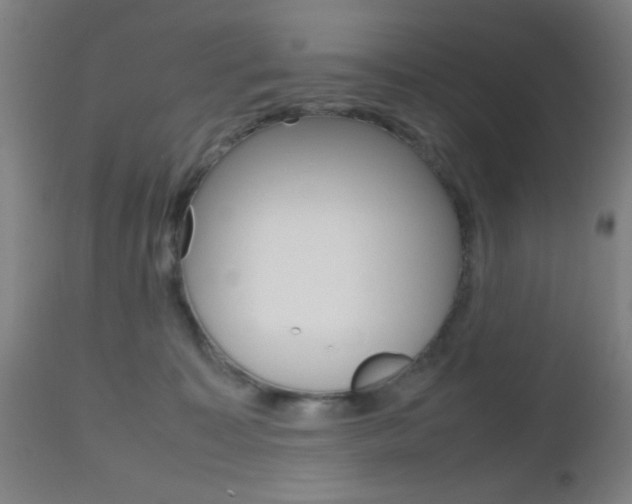 X0000112510323200908171054