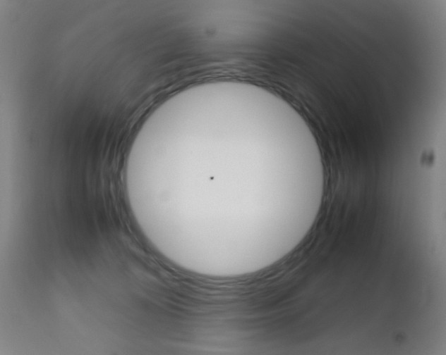 X0000112510324200908171054
