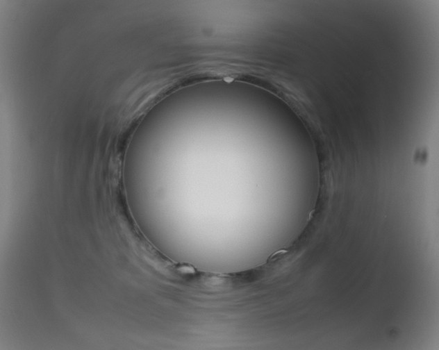X0000112510325200908171054