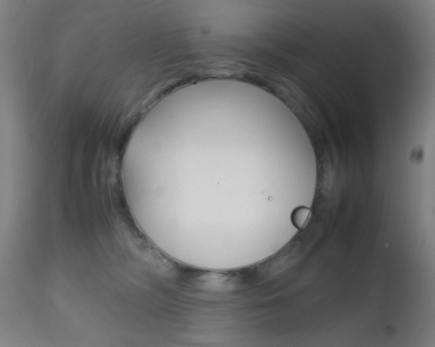 X0000112510326200908171054