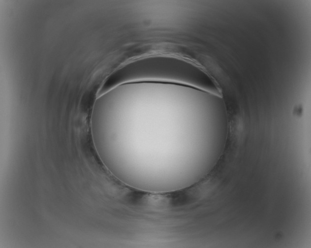X0000112510327200908171054