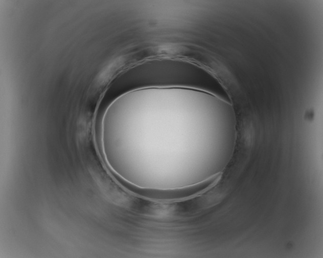 X0000112510328200908171054