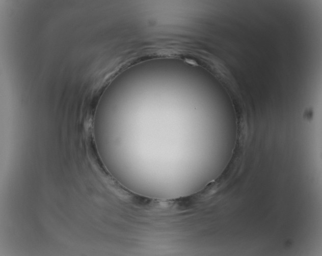 X0000112510329200908171054