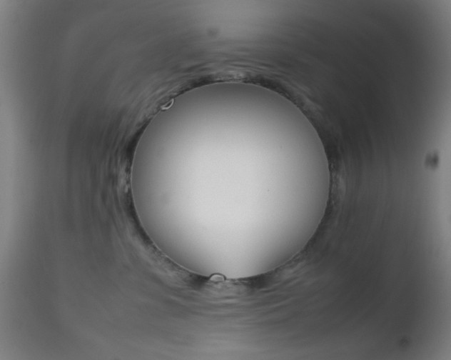 X0000112510331200908171054