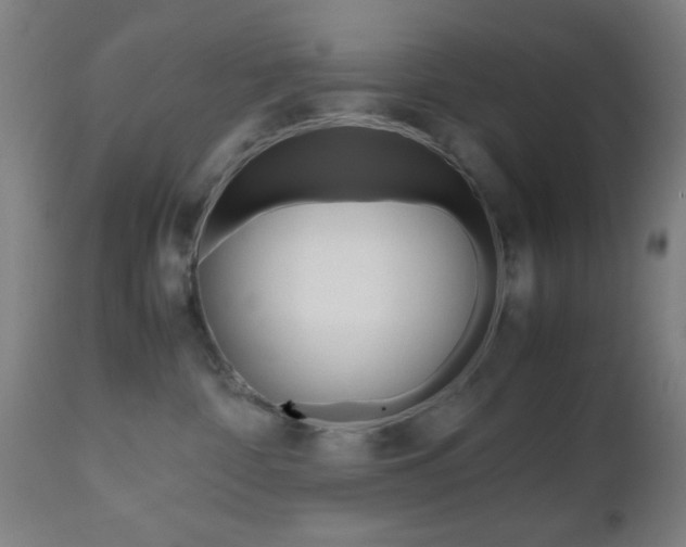 X0000112510332200908171054