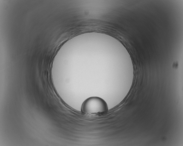 X0000112510333200908171054