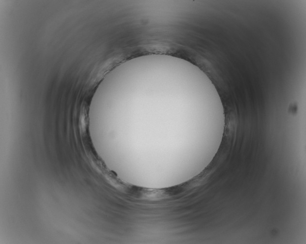 X0000112510334200908171054