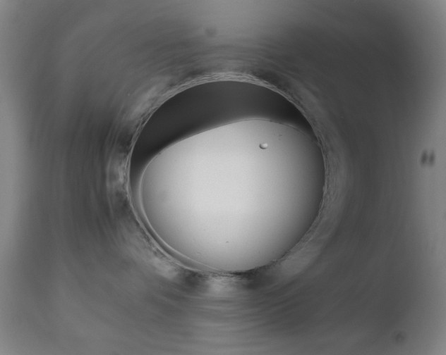 X0000112510336200908171054