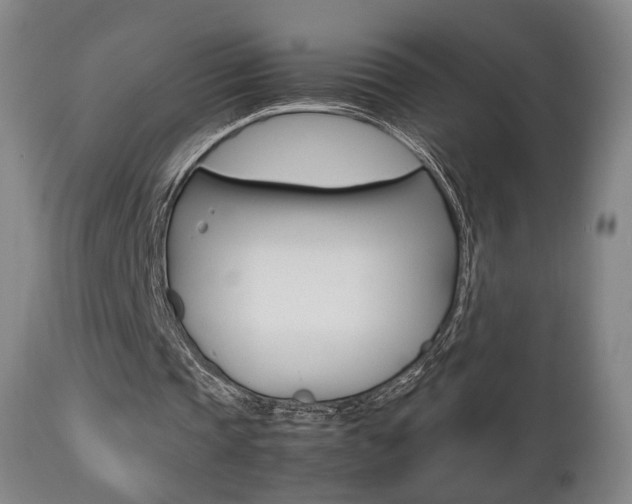 X0000112510337200908171053