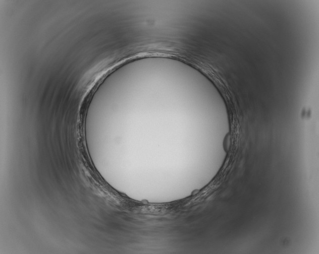 X0000112510338200908171053