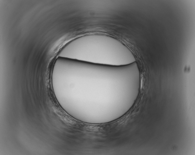 X0000112510339200908171053