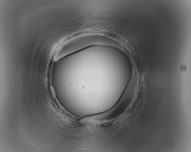X0000112510340200908171053