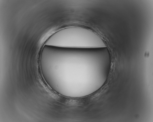 X0000112510341200908171053