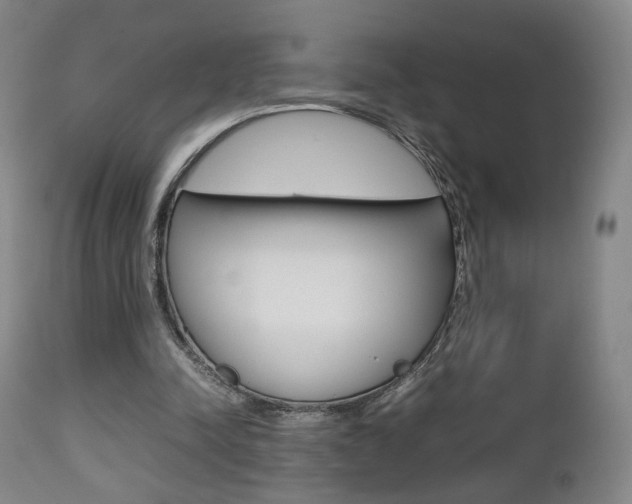 X0000112510342200908171053