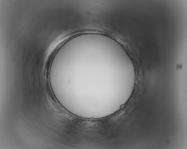 X0000112510343200908171053