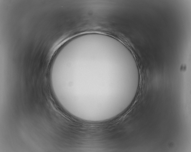 X0000112510344200908171053