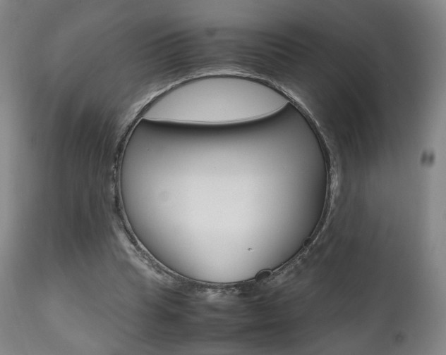 X0000112510345200908171053