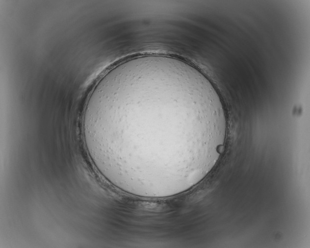 X0000112510347200908171053