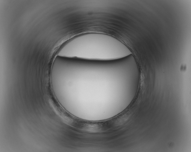 X0000112510349200908171053
