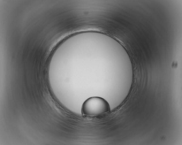 X0000112510350200908171054