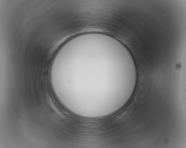 X0000112510352200908171054