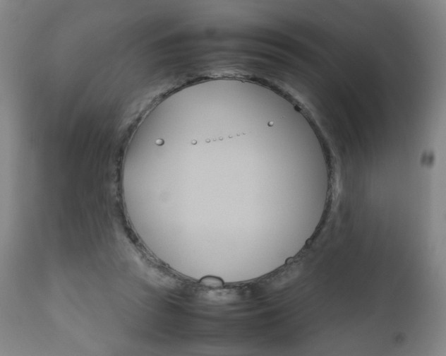 X0000112510353200908171054