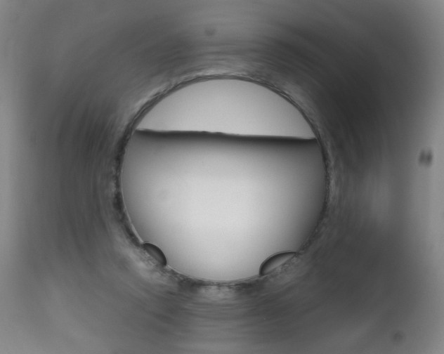 X0000112510354200908171054