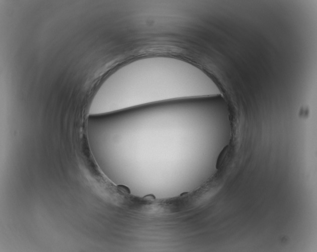 X0000112510356200908171054