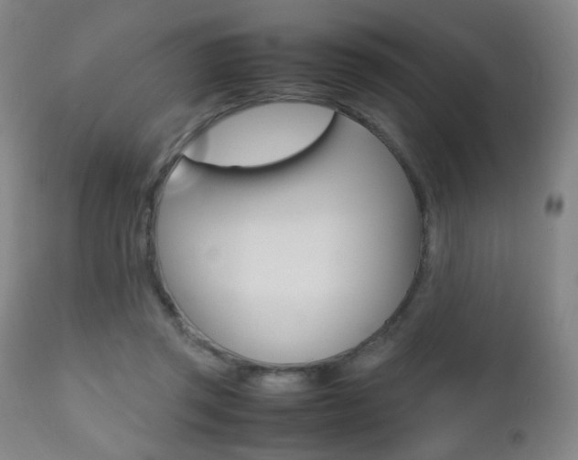 X0000112510357200908171054