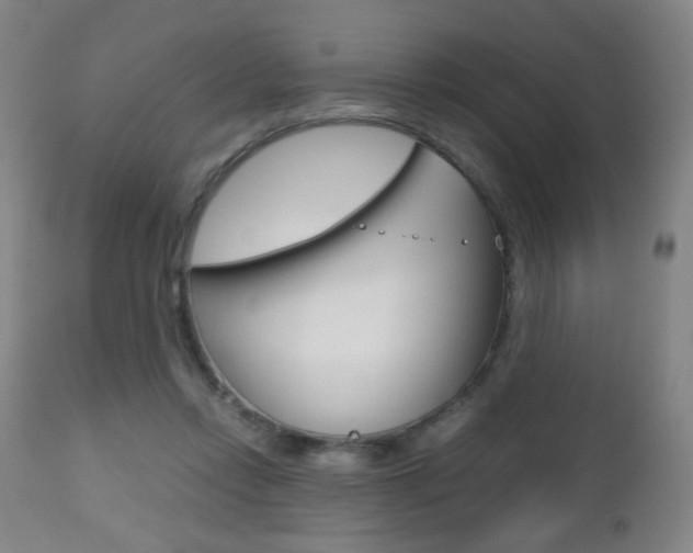 X0000112510358200908171054