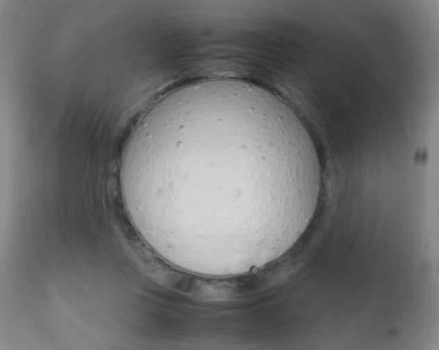 X0000112510359200908171054