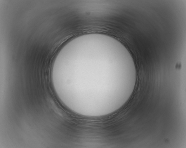 X0000112510360200908171054
