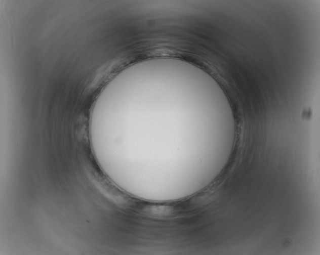 X0000112510361200908171054
