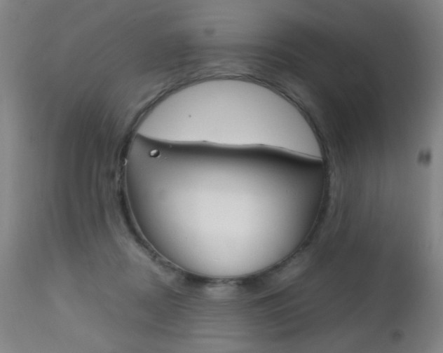 X0000112510362200908171054