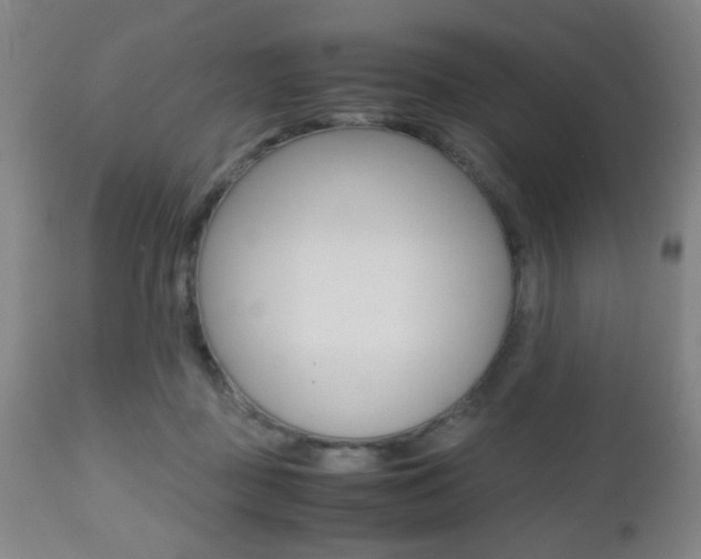 X0000112510363200908171054